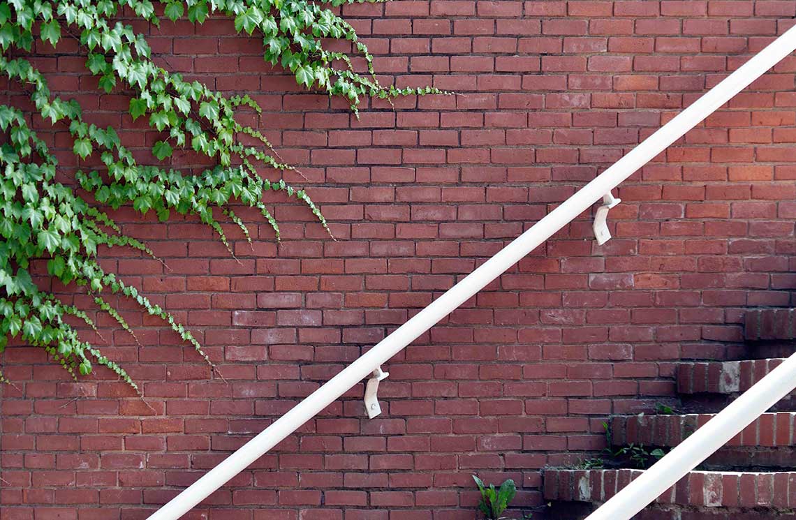 Imagen de las escaleras de un edificio con plantas en la pared.