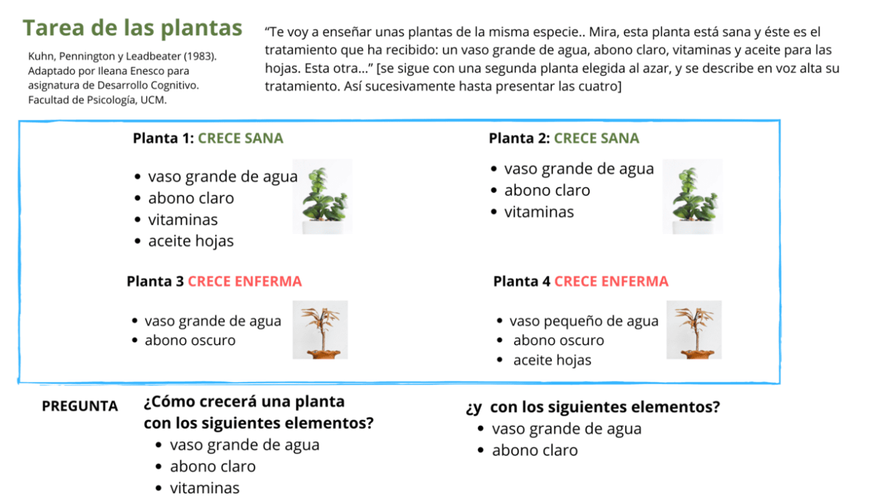 La tarea de las plantas: un ejemplo sobre cómo utilizamos la «causalidad»